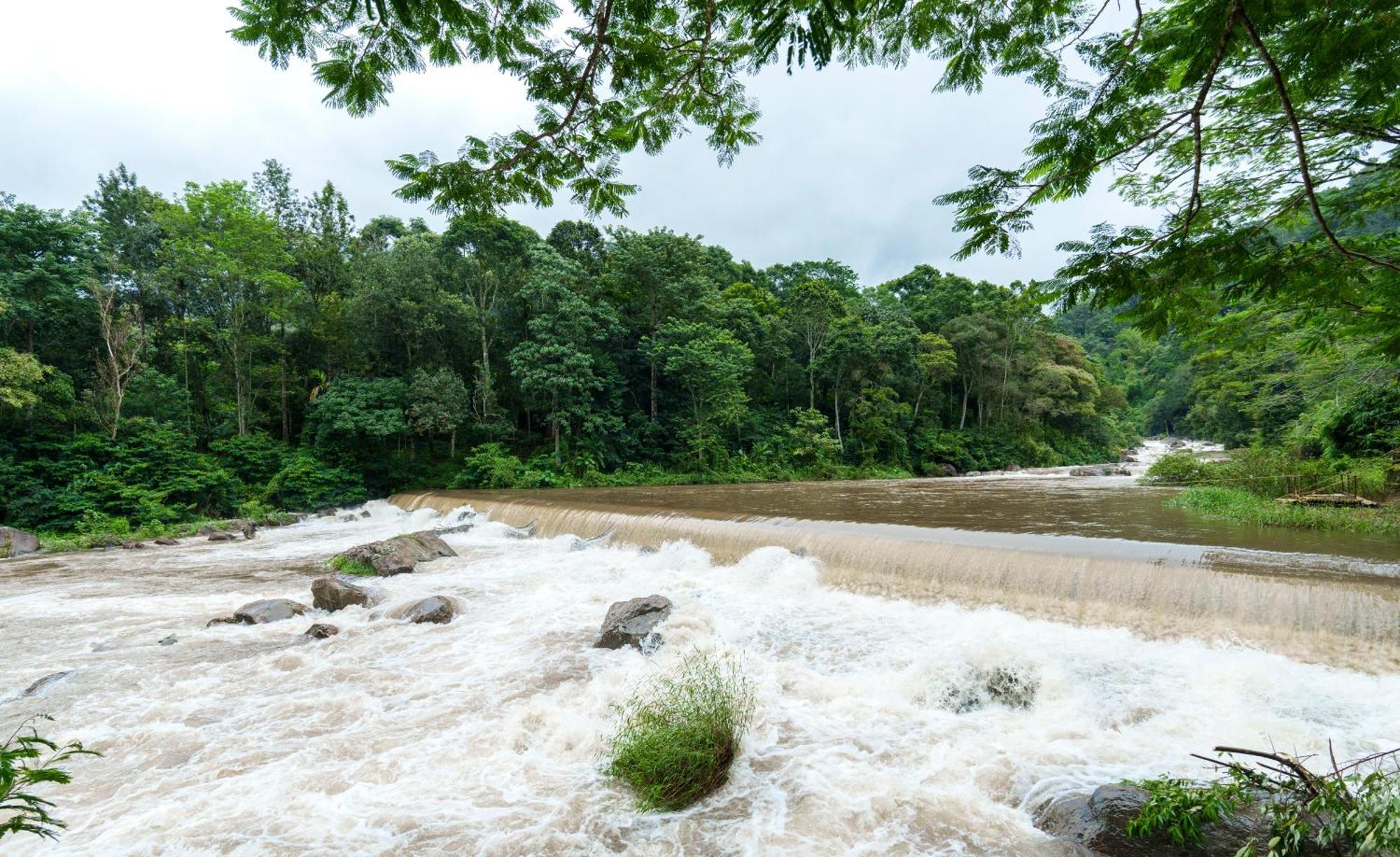 Rivulet Resort Munnar Exteriör bild