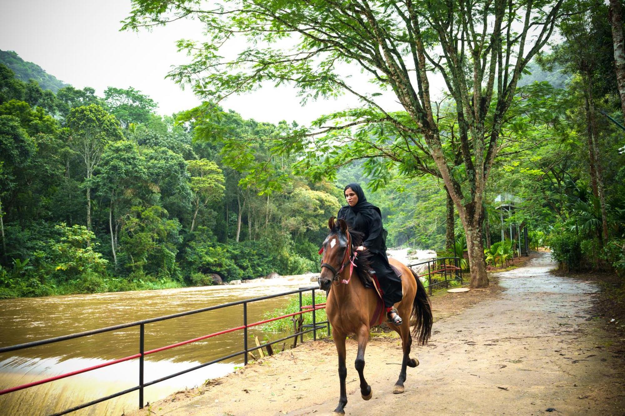 Rivulet Resort Munnar Exteriör bild